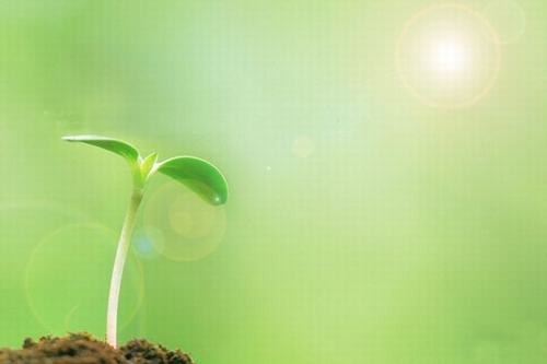 歲生之初，且聽我說