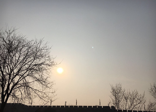 老樹·城墻·夕陽(yáng)