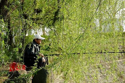 春天，一個(gè)多么富有詩(shī)意的名字??！