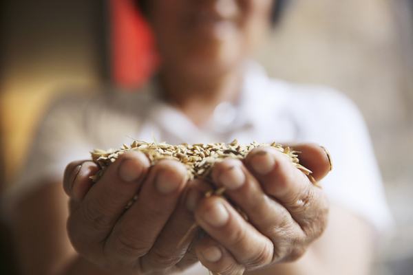 起點(diǎn)不同 幸福相同