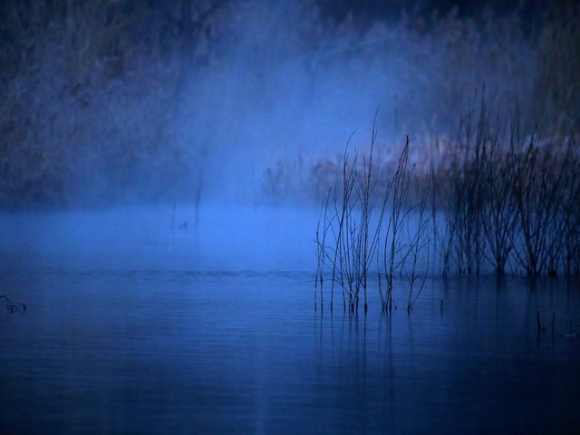 “冬月”你好！