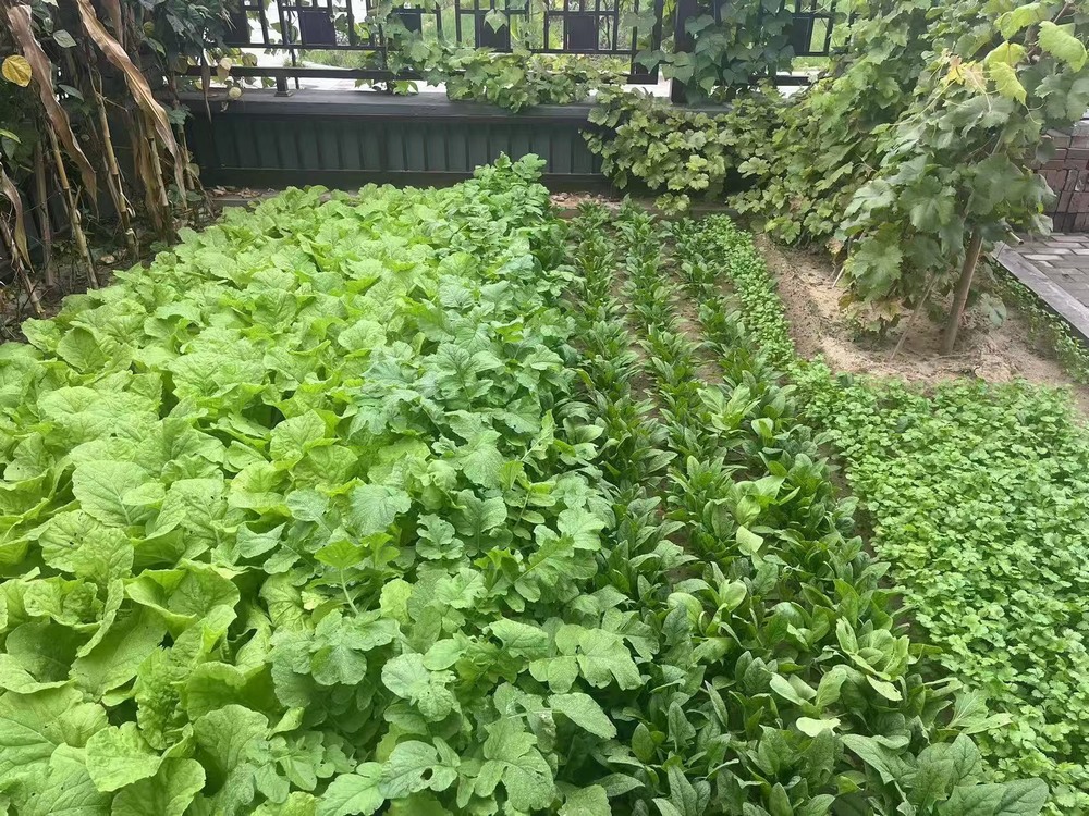 工地之上，家的溫度悄然綻放