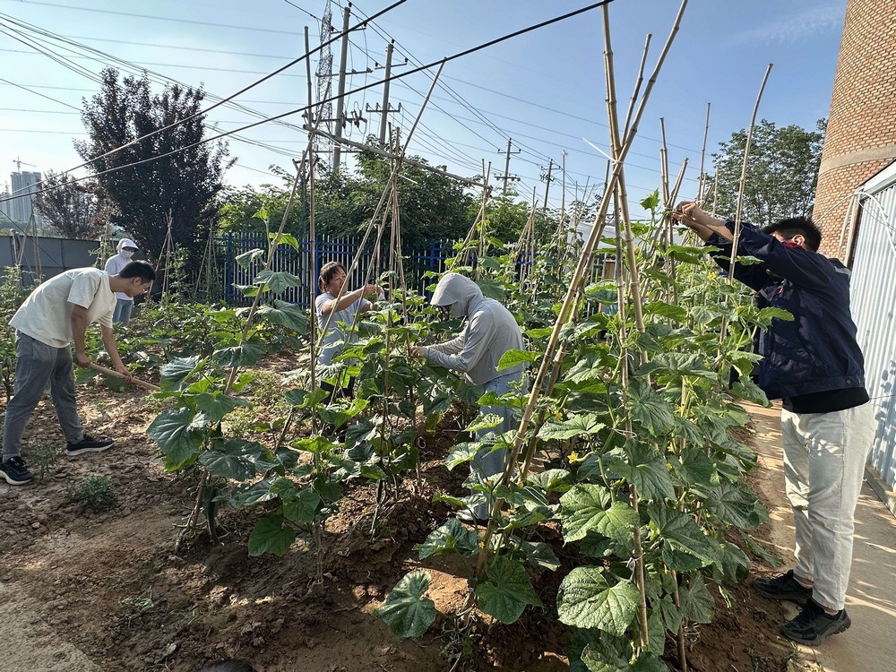 方寸菜園間，鐫刻奮斗與溫情