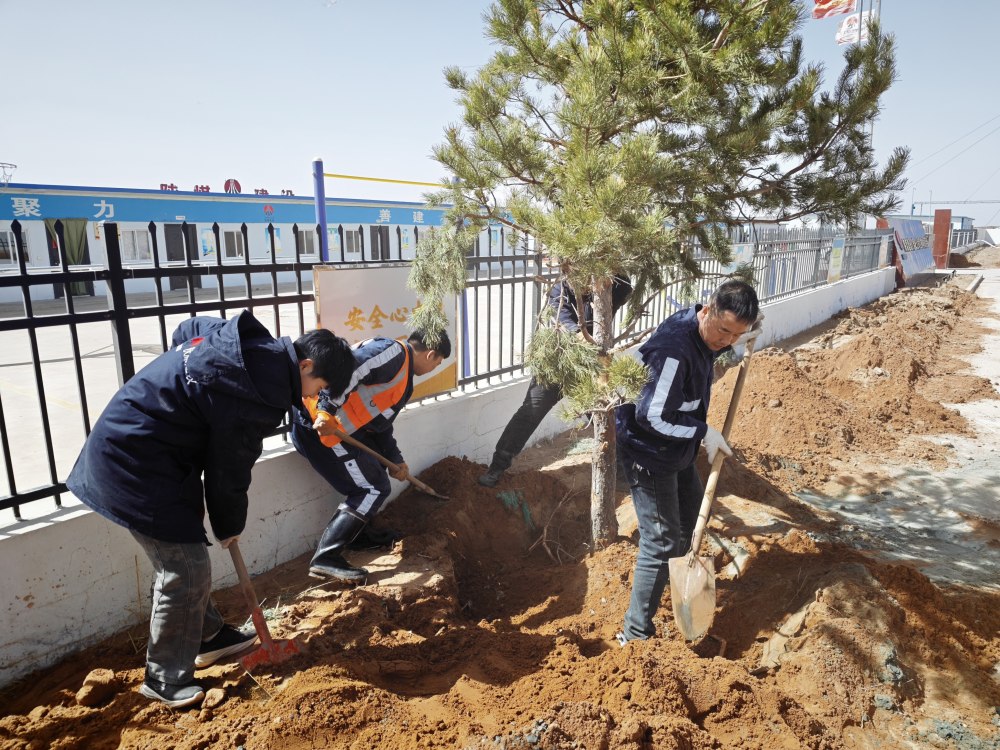 陜煤建設(shè)礦建三公司：植綠潤人心 聚力促實干